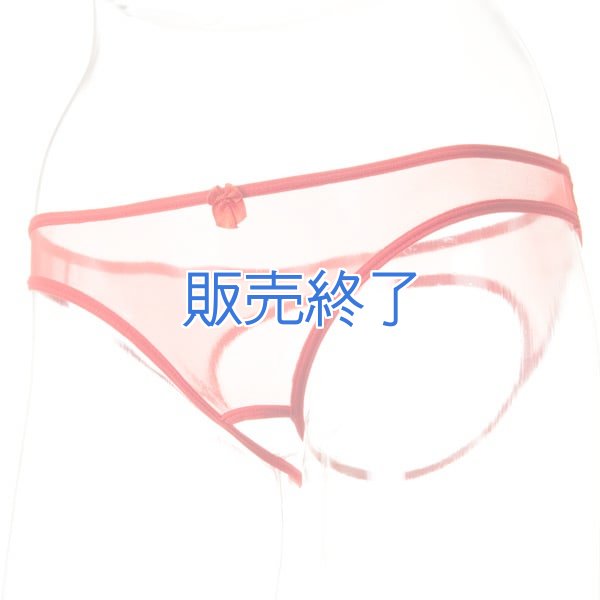 画像1: 1371 (1)
