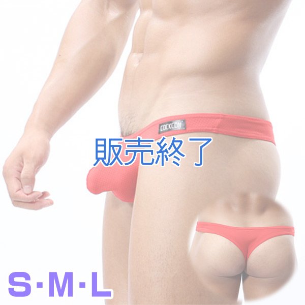 画像1: 1451 (1)